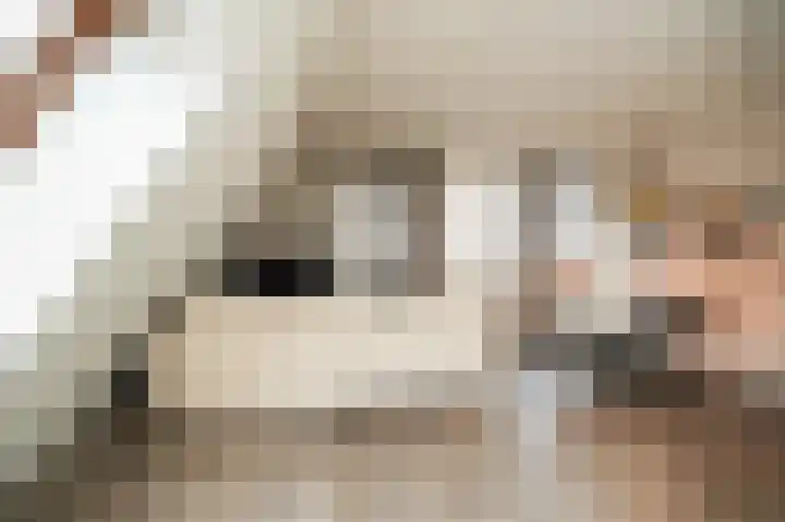 Kromsteeg 29 a Kerkdriel thumbnail 22