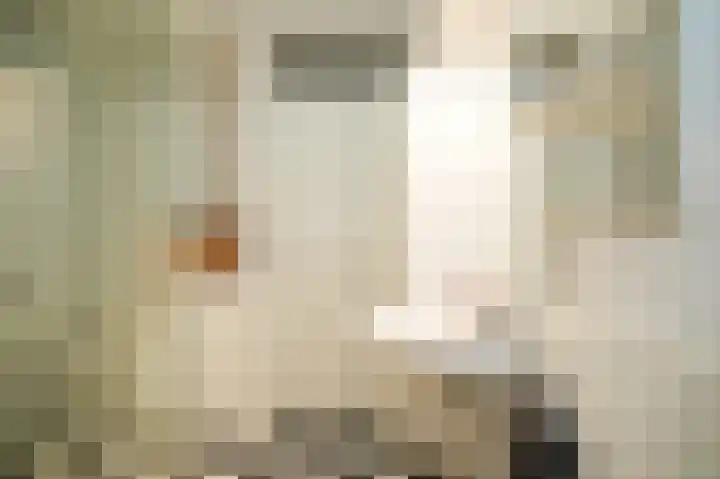 Kromsteeg 29 a Kerkdriel thumbnail 27