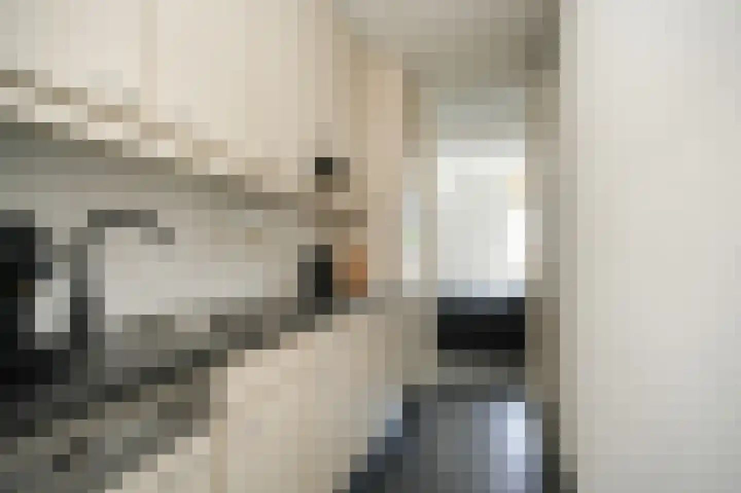 Kromsteeg 29 Kerkdriel thumbnail 10