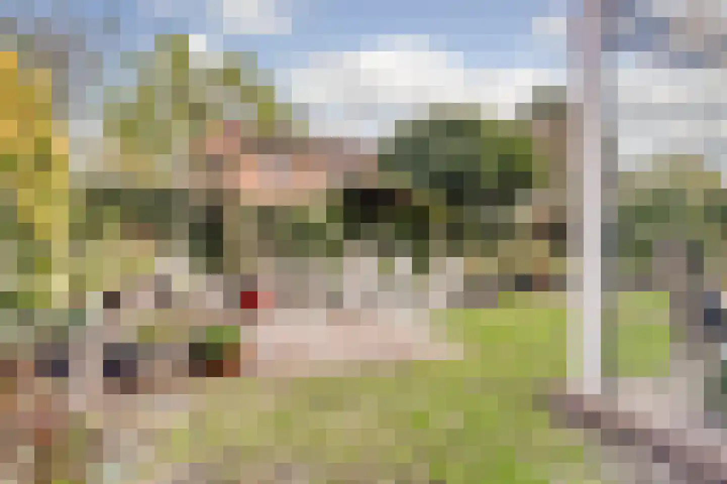 Kromsteeg 82 Kerkdriel thumbnail 44