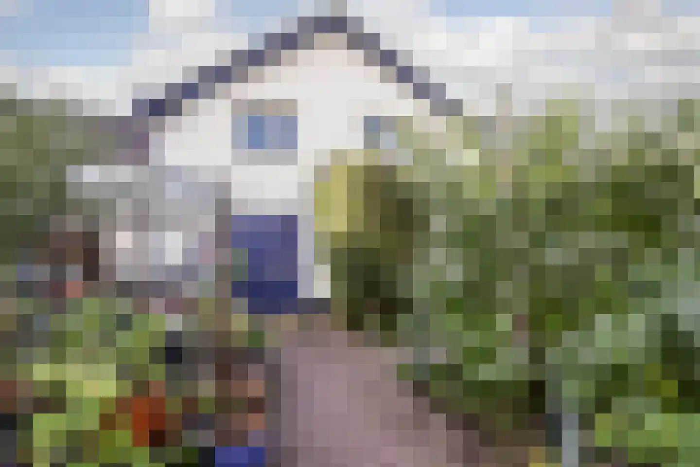 Kromsteeg 82 Kerkdriel thumbnail 47