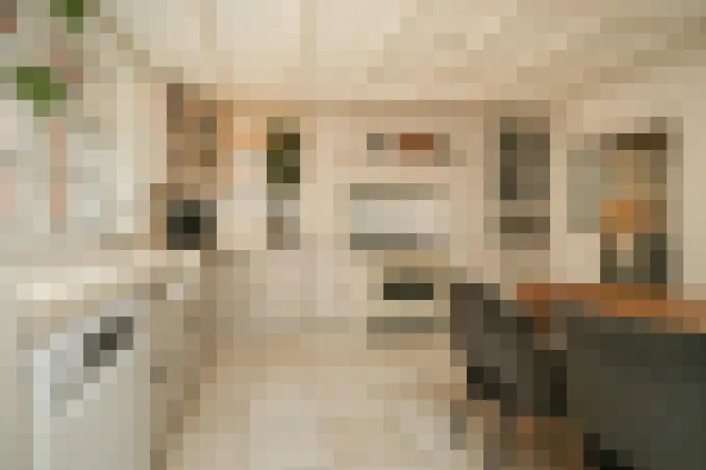 Kromsteeg 86 Kerkdriel thumbnail 12
