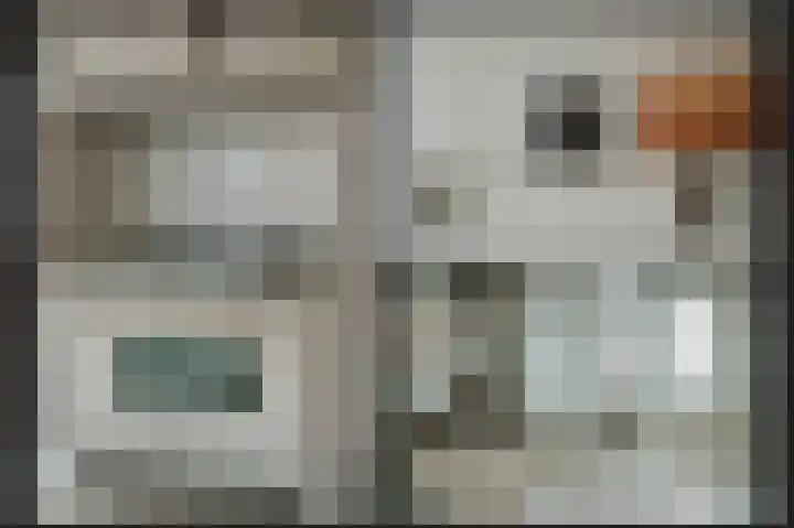 Kromsteeg 86 Kerkdriel thumbnail 13