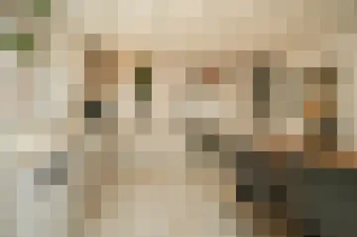 Kromsteeg 86 Kerkdriel thumbnail 14
