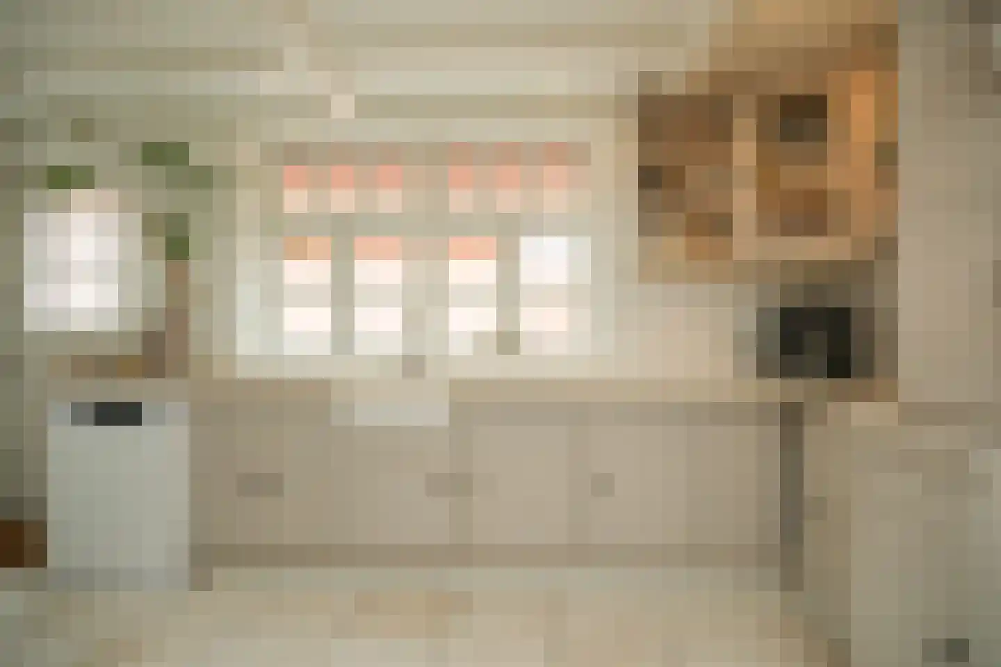 Kromsteeg 86 Kerkdriel thumbnail 14
