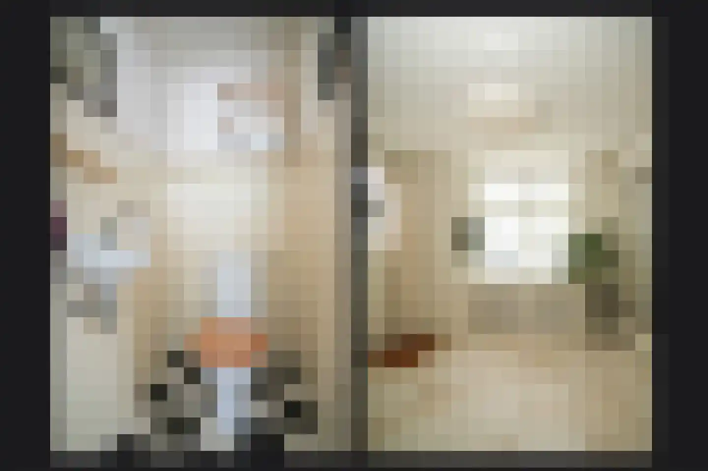 Kromsteeg 86 Kerkdriel thumbnail 17