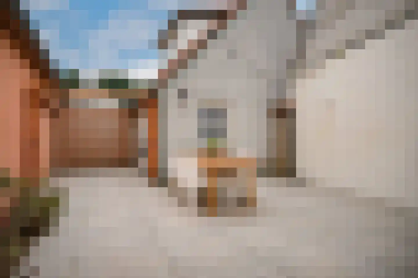Kromsteeg 86 Kerkdriel thumbnail 36