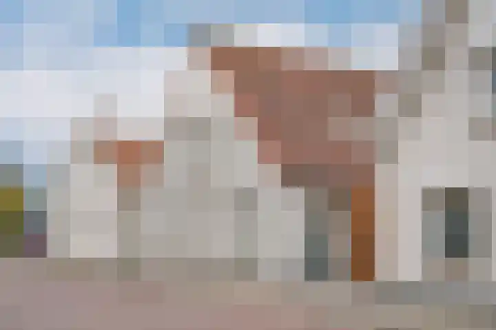 Kromsteeg 86 Kerkdriel thumbnail 41