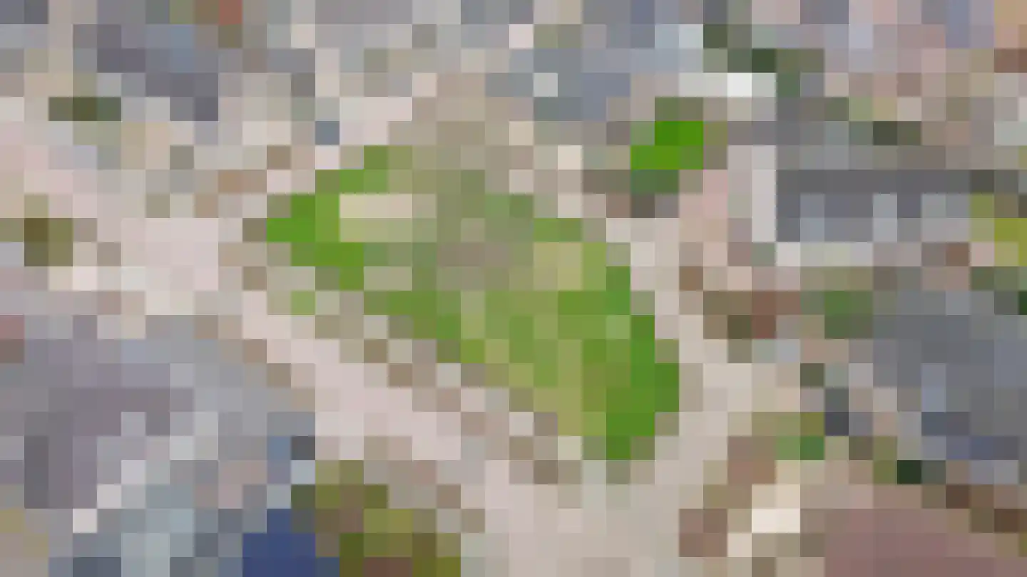 Kromsteeg 86 Kerkdriel thumbnail 45