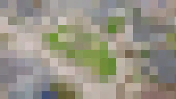 Kromsteeg 86 Kerkdriel thumbnail 46