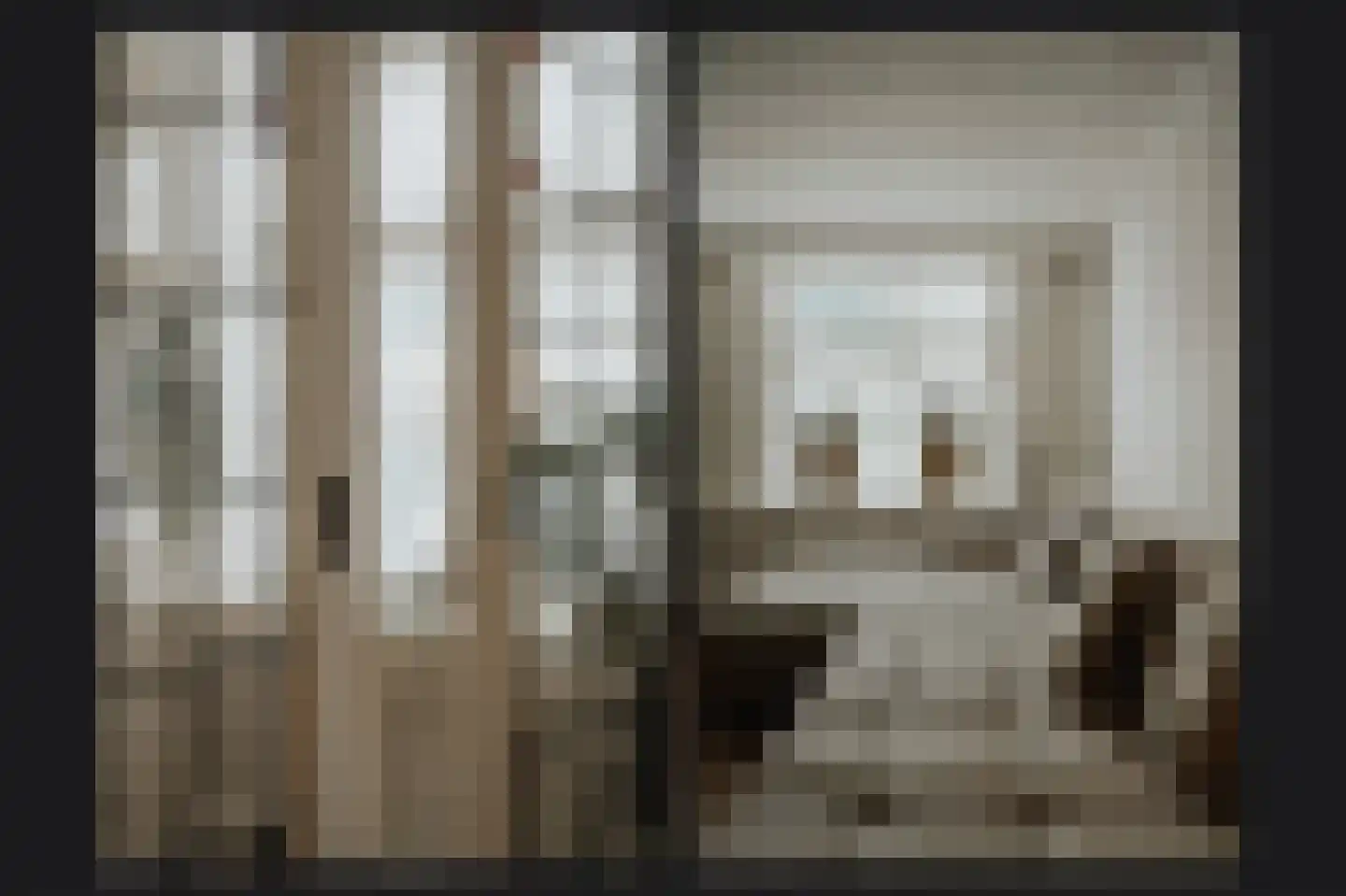 Kromsteeg 86 Kerkdriel thumbnail 8