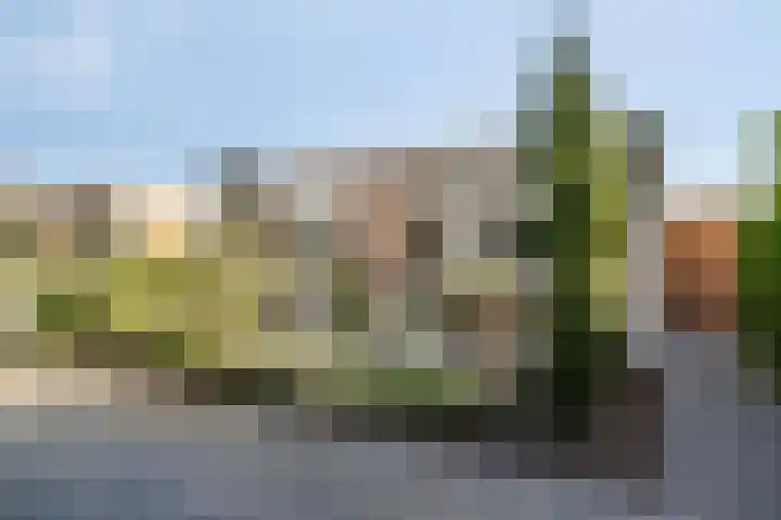 Kromsteven 24 Sint-Annaland thumbnail 4