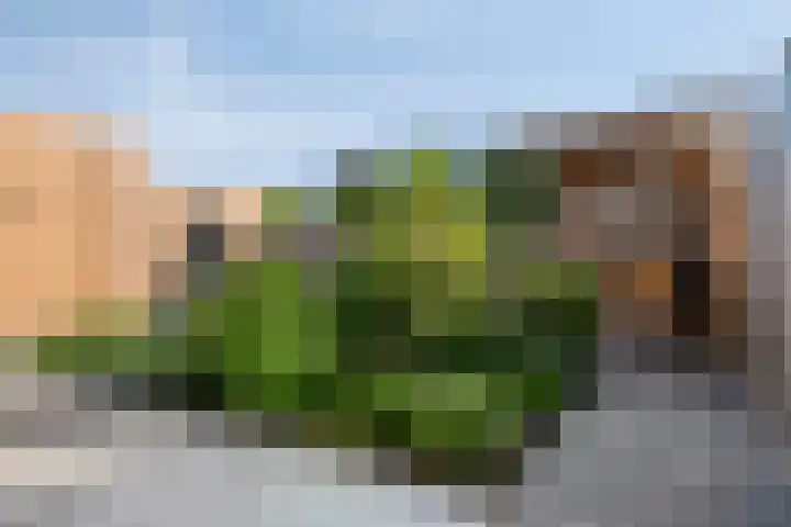 Kromsteven 24 Sint-Annaland thumbnail 43