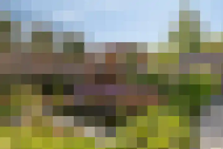 Kromsteven 24 Sint-Annaland thumbnail 46