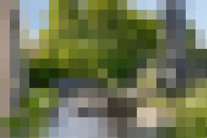 Kromsteven 24 Sint-Annaland thumbnail 48