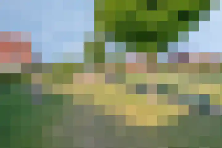 Kromsteven 24 Sint-Annaland thumbnail 55