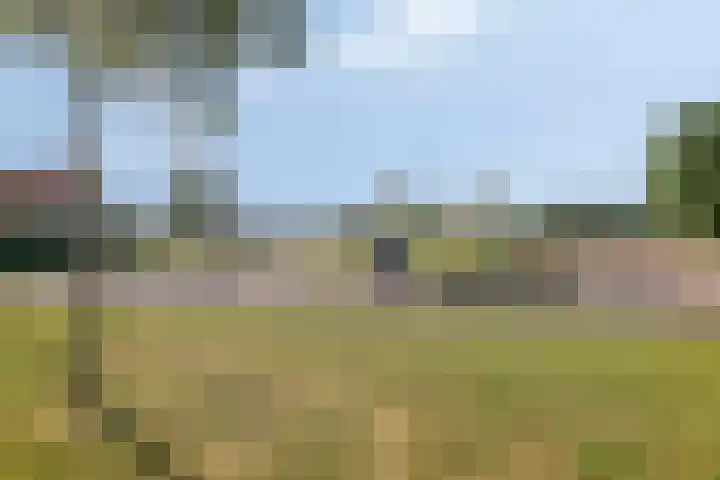 Kromsteven 24 Sint-Annaland thumbnail 56