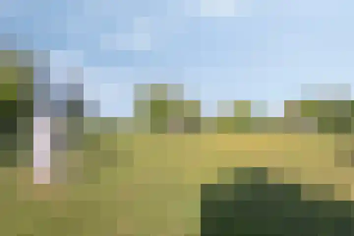Kromsteven 24 Sint-Annaland thumbnail 57