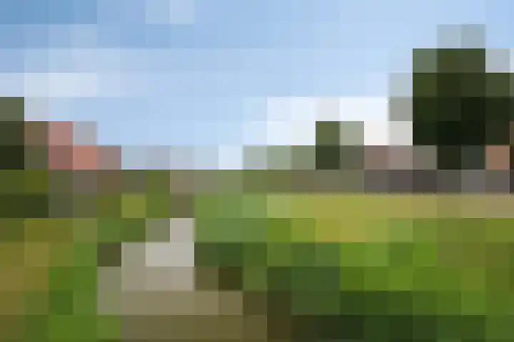 Kromsteven 24 Sint-Annaland thumbnail 58
