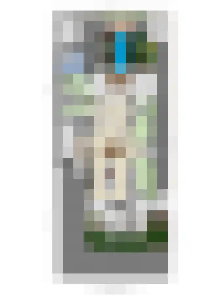Kromsteven 24 Sint-Annaland thumbnail 61