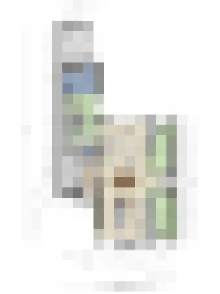 Kromsteven 24 Sint-Annaland thumbnail 62