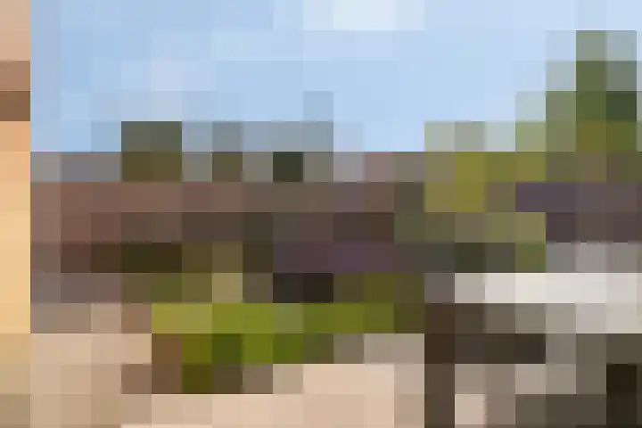 Kromsteven 24 Sint-Annaland thumbnail 8