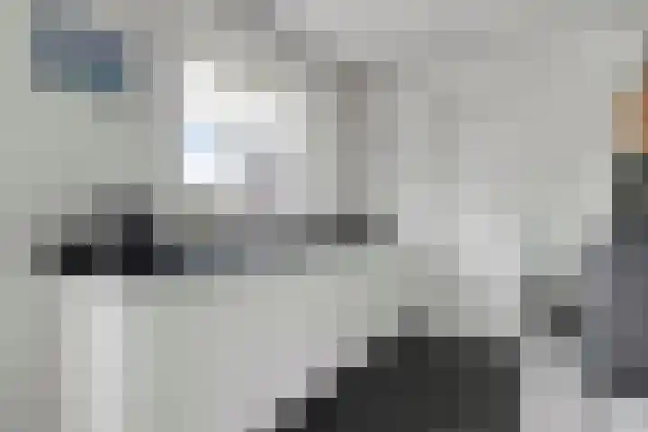 Kromsteven 3 Sint-Annaland thumbnail 19