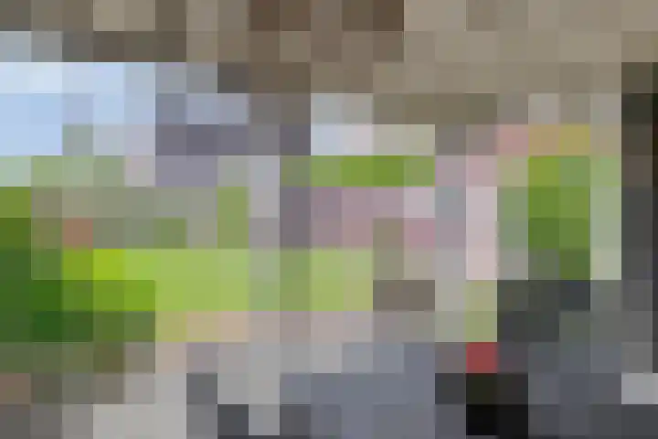 Kromsteven 3 Sint-Annaland thumbnail 4
