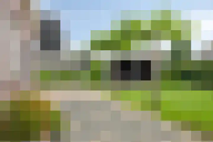 Kromsteven 3 Sint-Annaland thumbnail 45