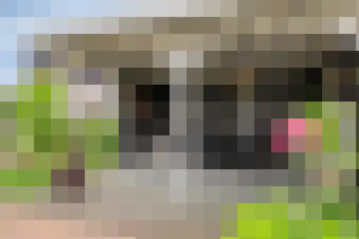 Kromsteven 3 Sint-Annaland thumbnail 48