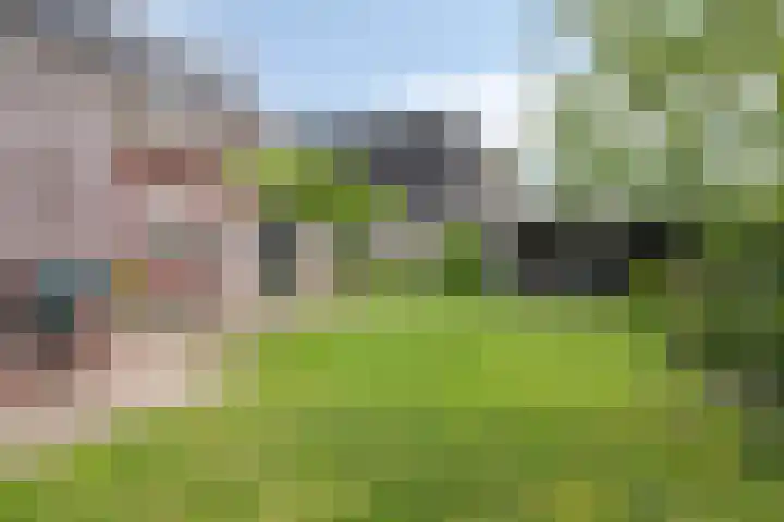 Kromsteven 3 Sint-Annaland thumbnail 53