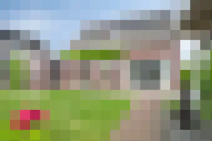 Kromsteven 3 Sint-Annaland thumbnail 54