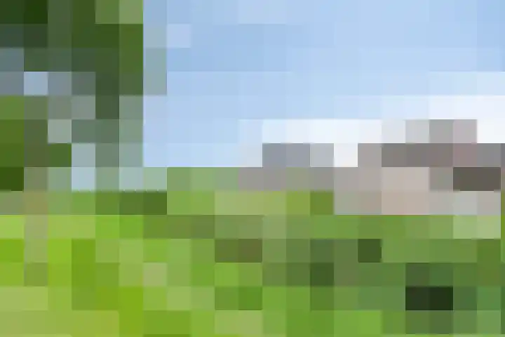 Kromsteven 3 Sint-Annaland thumbnail 65