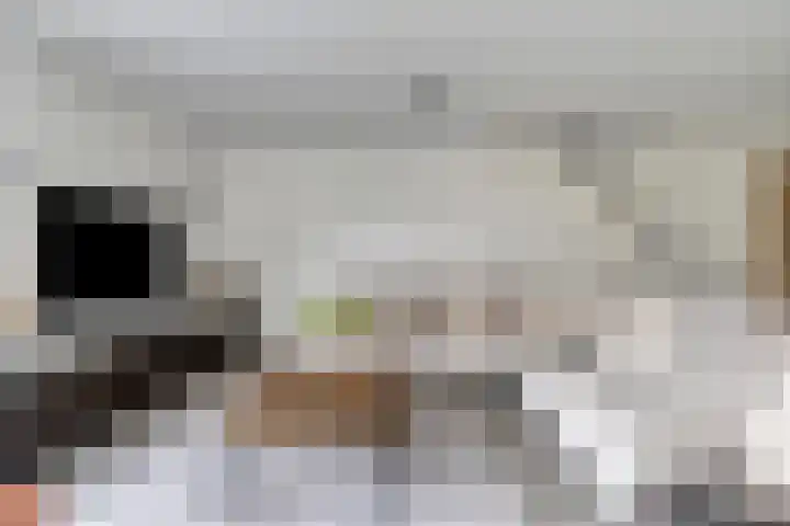 Kromsteven 4 Bergen op Zoom thumbnail 13