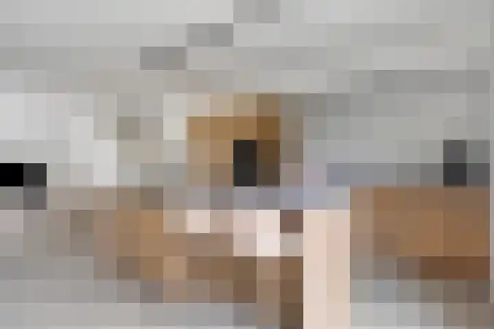 Kromsteven 4 Bergen op Zoom thumbnail 18