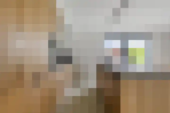Kromsteven 4 Bergen op Zoom thumbnail 20