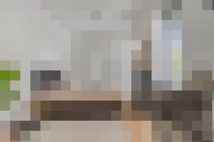 Kromsteven 4 Bergen op Zoom thumbnail 22