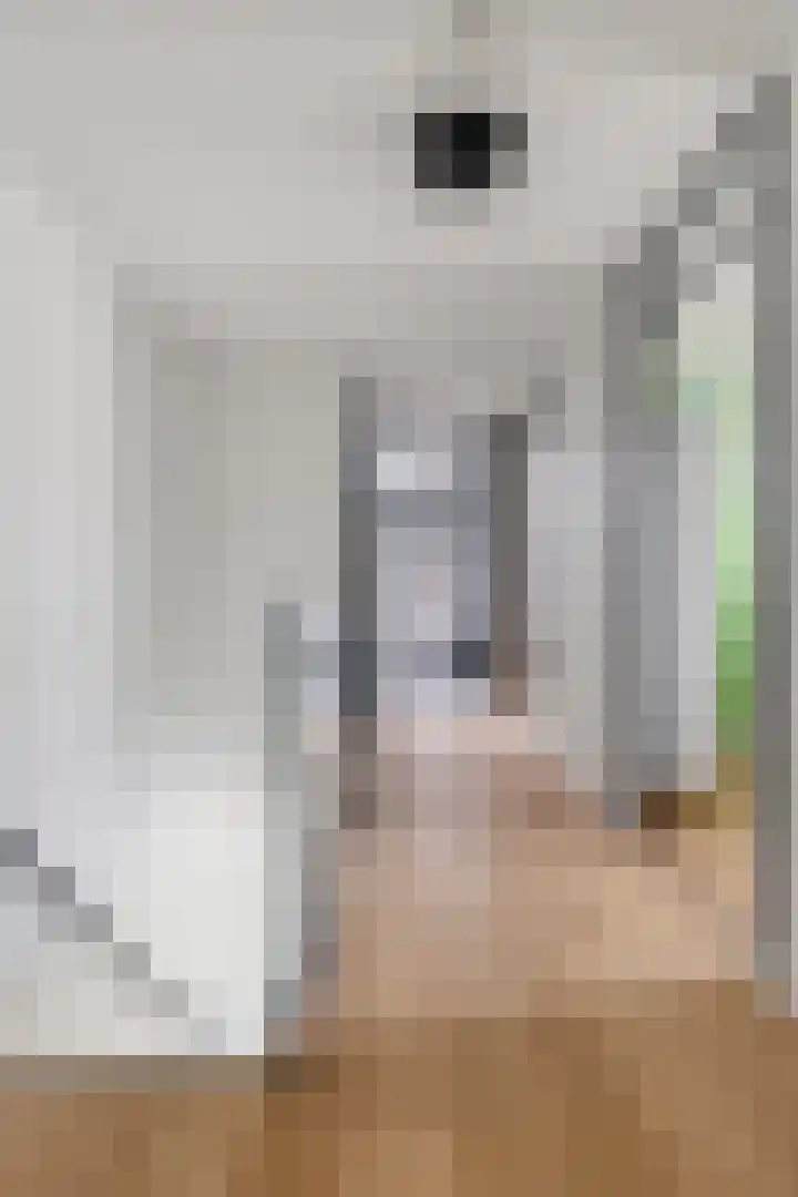 Kromsteven 4 Bergen op Zoom thumbnail 26