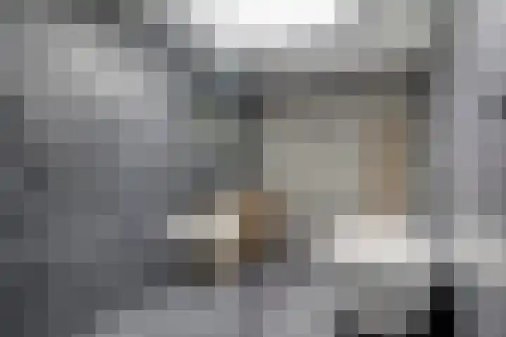 Kromsteven 4 Bergen op Zoom thumbnail 4