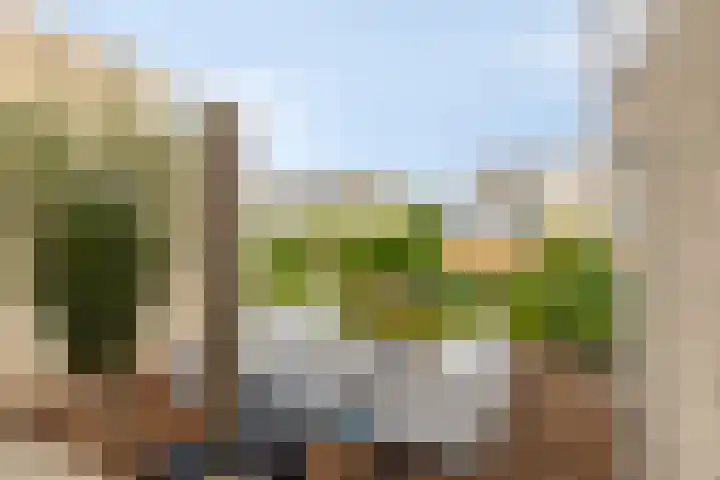 Kromsteven 4 Bergen op Zoom thumbnail 40
