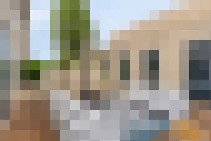 Kromsteven 4 Bergen op Zoom thumbnail 41