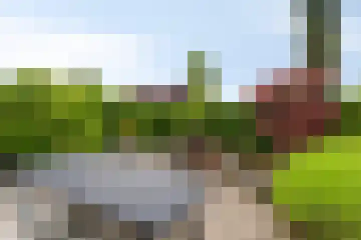 Kromsteven 4 Bergen op Zoom thumbnail 46