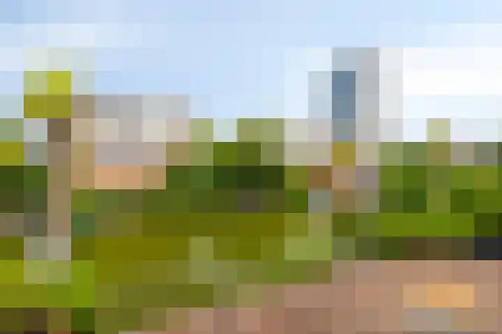 Kromsteven 4 Bergen op Zoom thumbnail 5