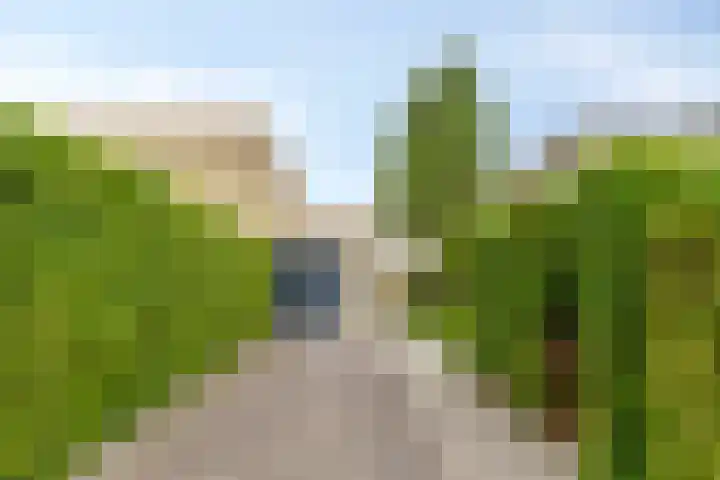 Kromsteven 4 Bergen op Zoom thumbnail 7