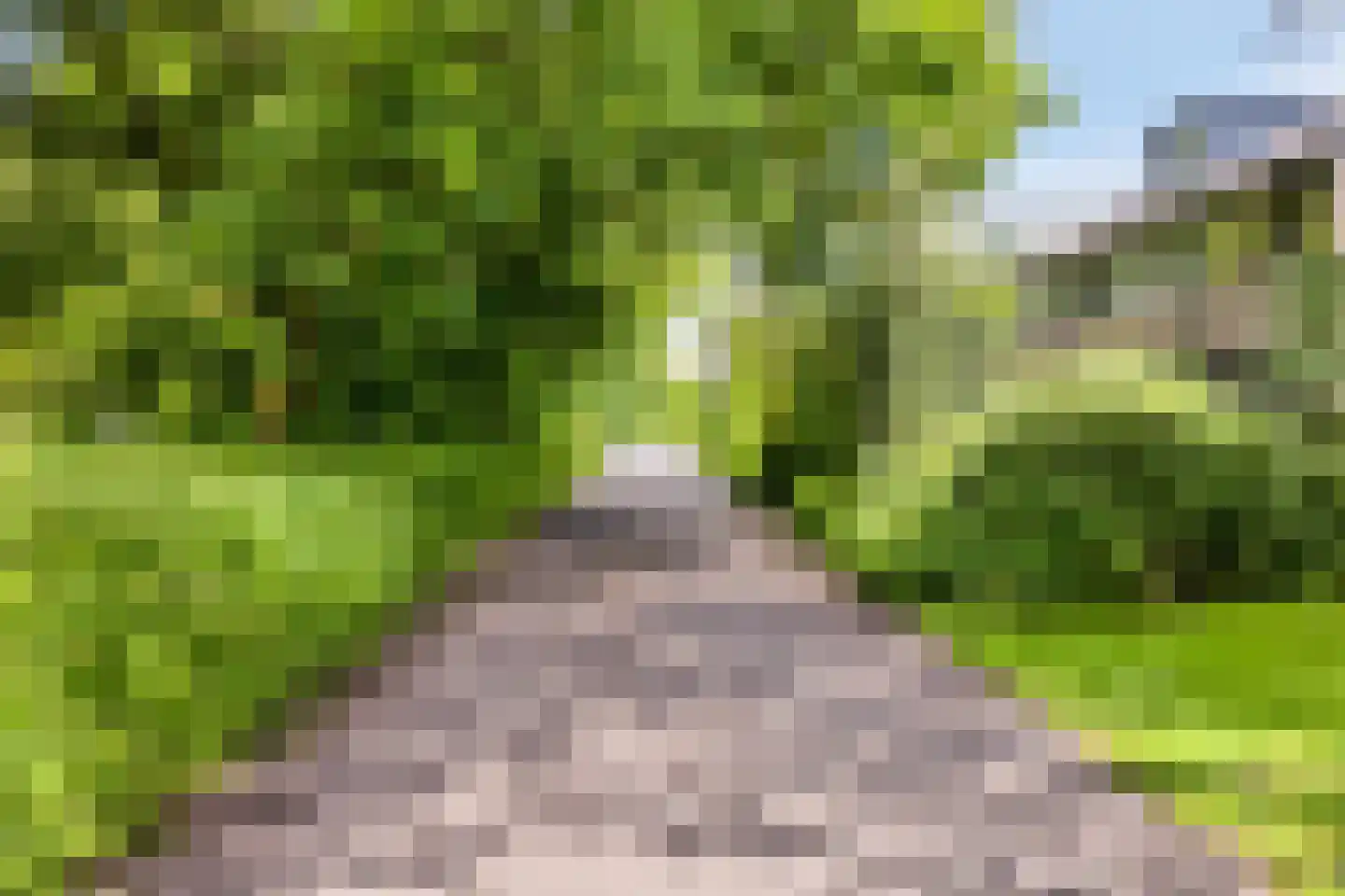 Kromstevenwerf 11 Leiden thumbnail 43