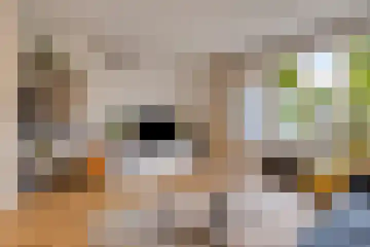 Kromstevenwerf 52 Leiden thumbnail 13