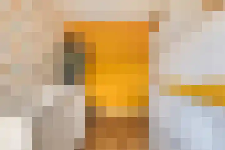 Kromstevenwerf 52 Leiden thumbnail 28
