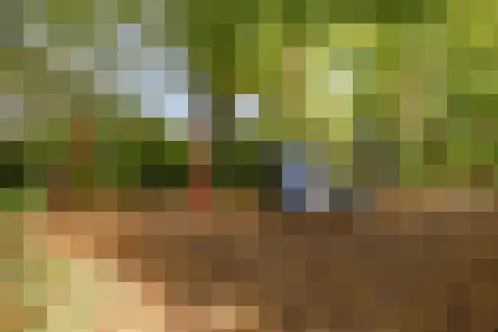 Kromstevenwerf 52 Leiden thumbnail 36
