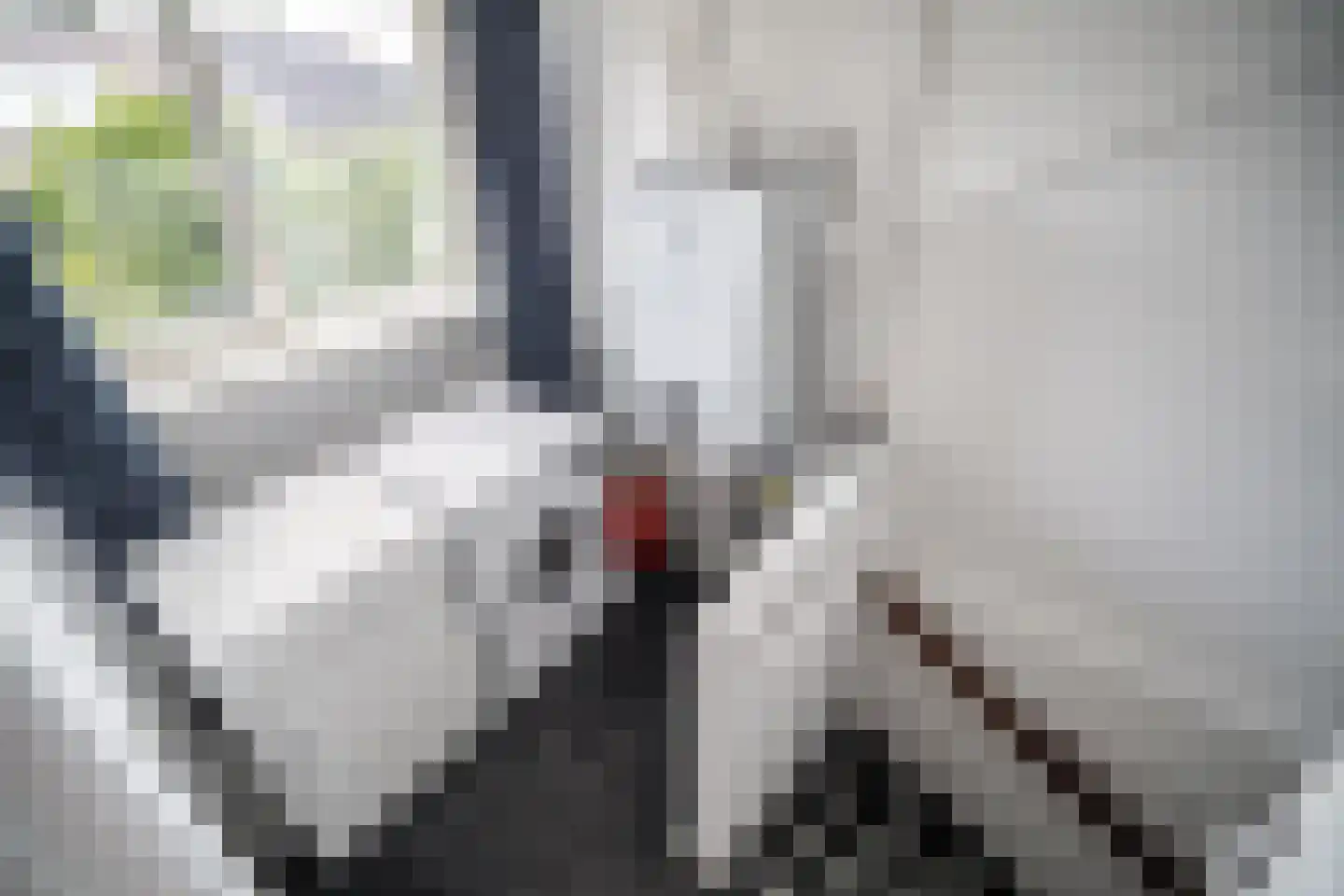 Kromstevenwerf 7 Leiden thumbnail 14