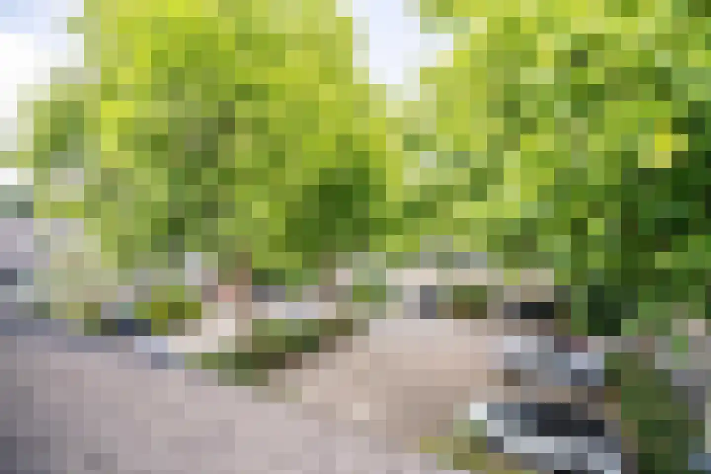 Kromstevenwerf 7 Leiden thumbnail 19